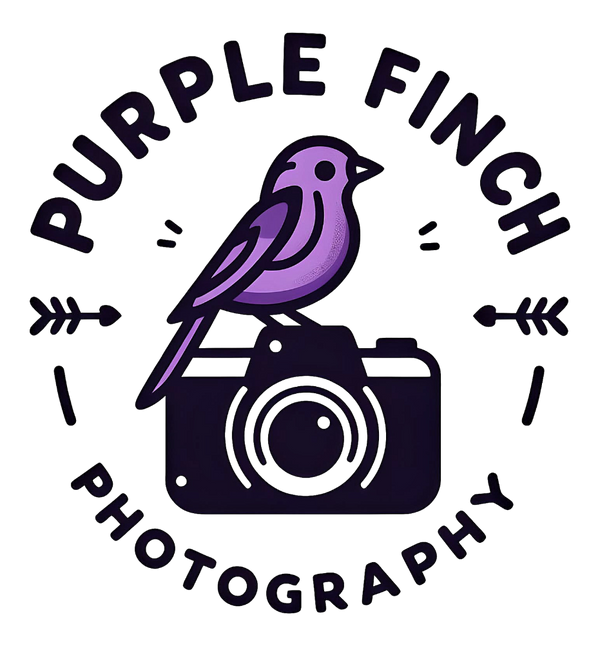 Purple Finch Photography